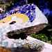 Gaudi's dragon in Parc Guell.